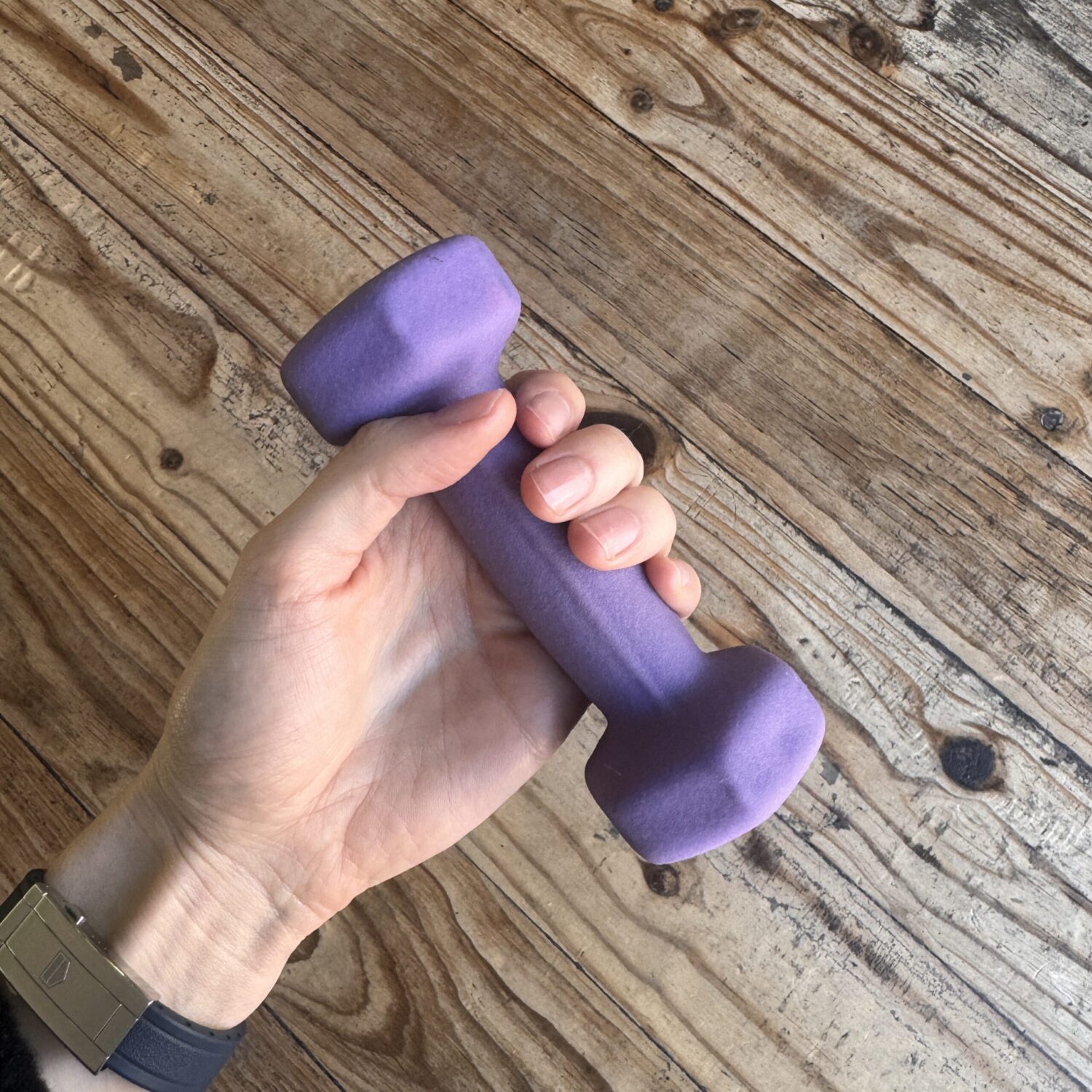 Purple 1kg Dumbbell (Sea Point collection)