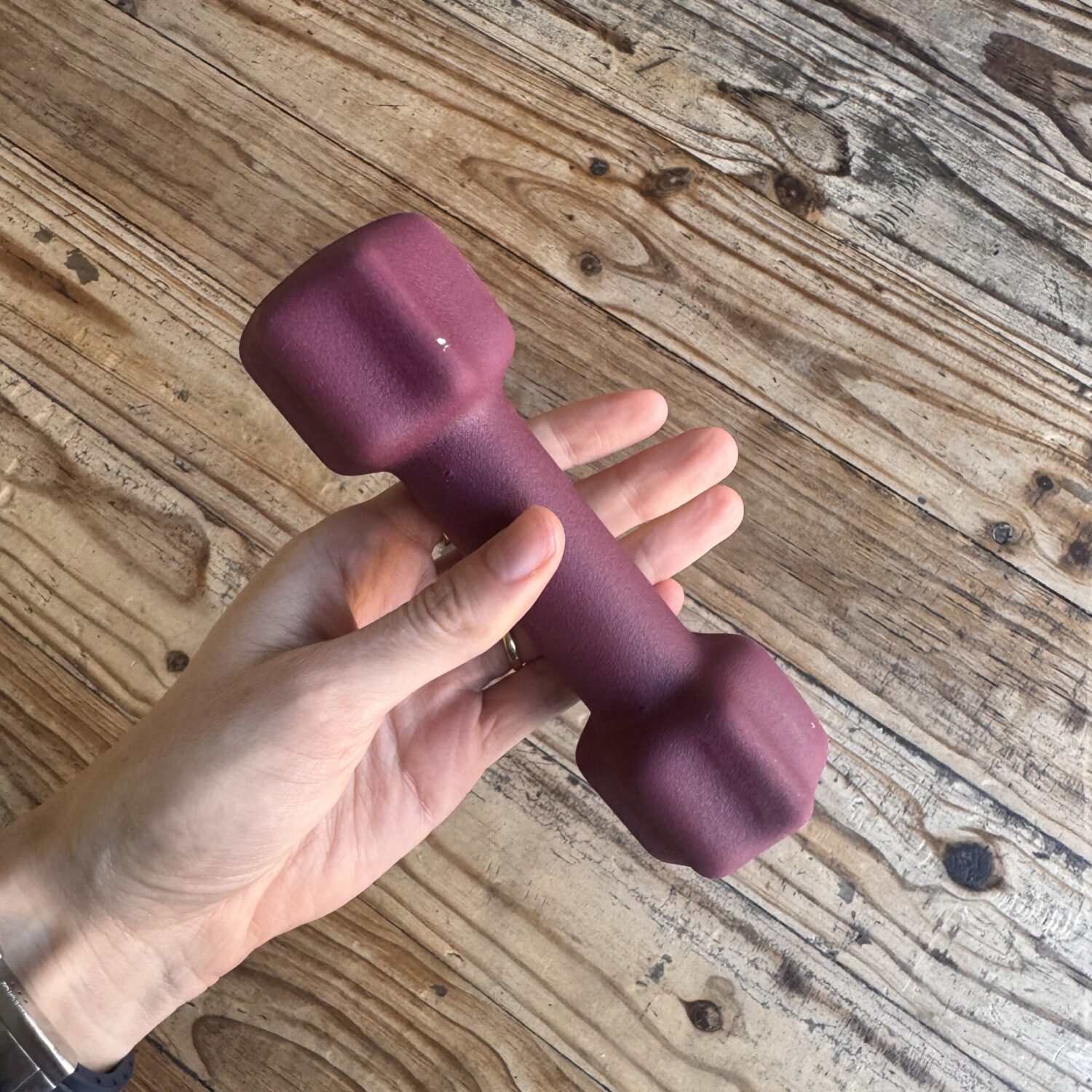 Maroon 1kg Dumbbell (Claremont collection)