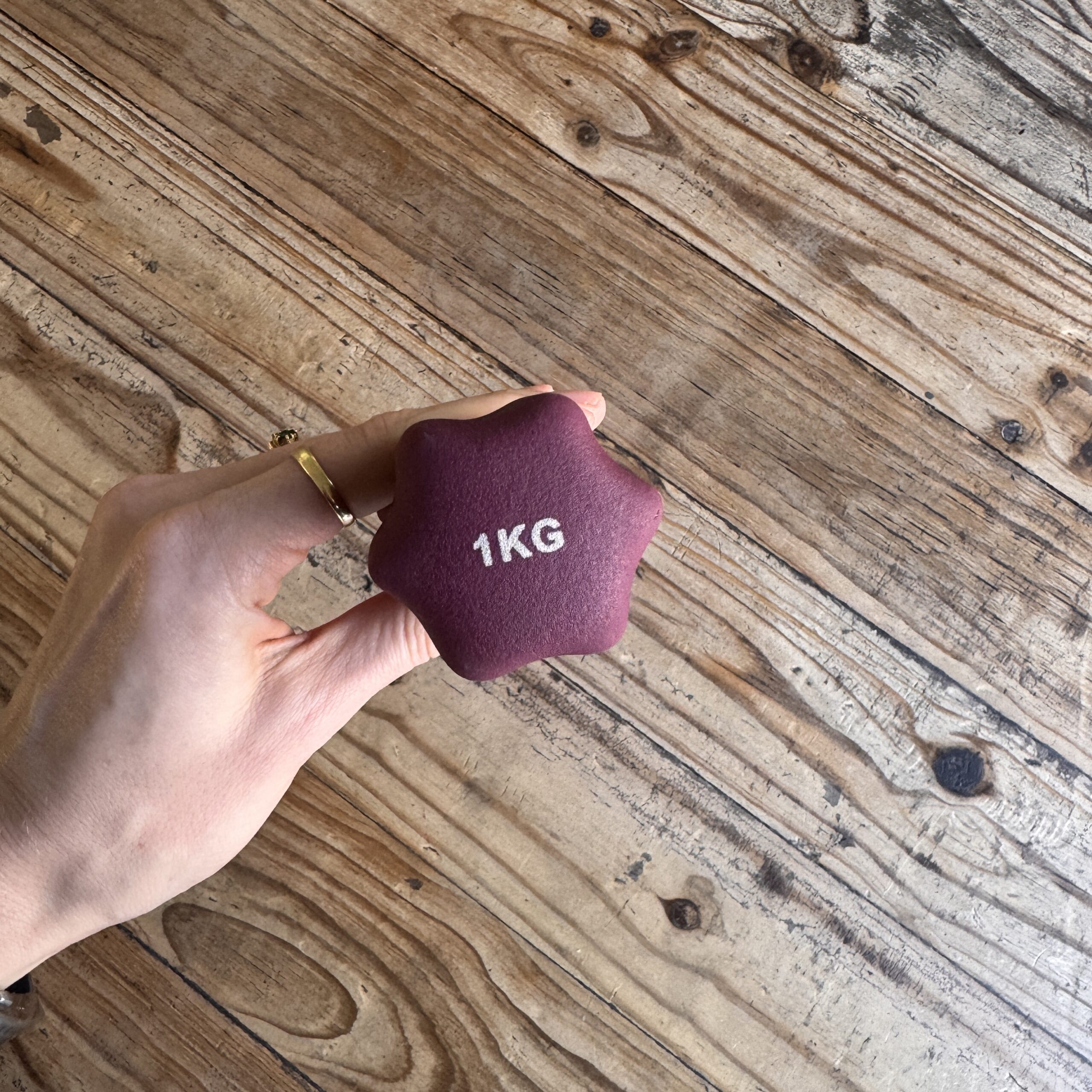 Maroon 1kg Dumbbell (Claremont collection) - Image 3
